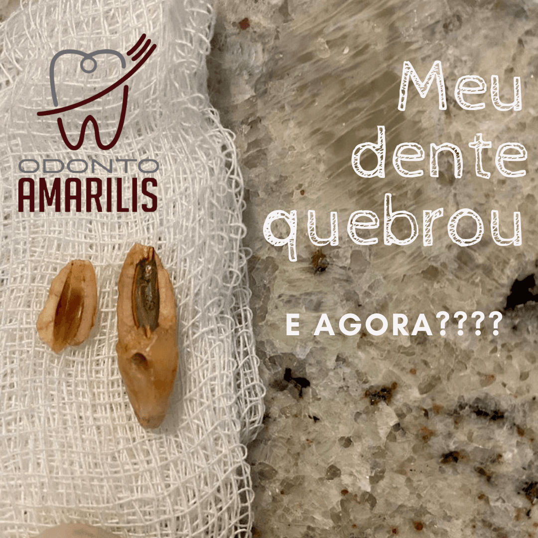 Foto 4 da galeria